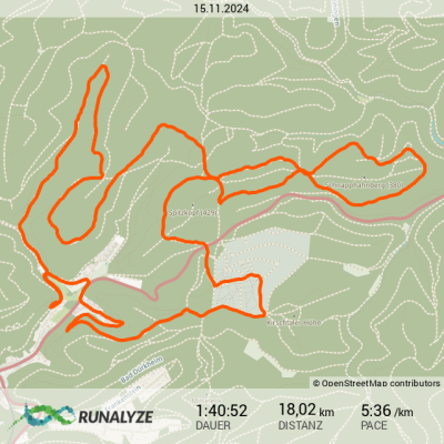 Runalyze-activity_2024-11-15T123600.png