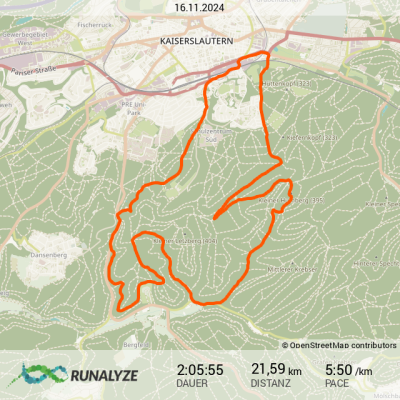 Runalyze-activity_2024-11-16T085600.png
