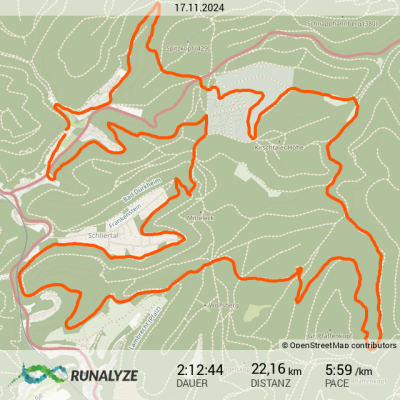 Runalyze-activity_2024-11-17T095900.png