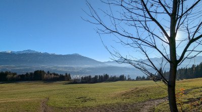 PXL_20241130_132309154.jpg