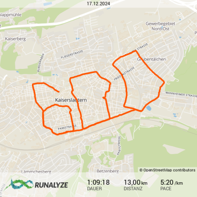 Runalyze-activity_2024-12-17T182000.png
