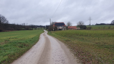 WIL_Christkindles Edition_1_Slot_Laufstrecke.jpg