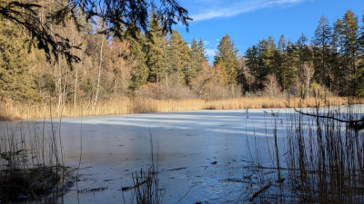 PXL_20250109_120539463.jpg