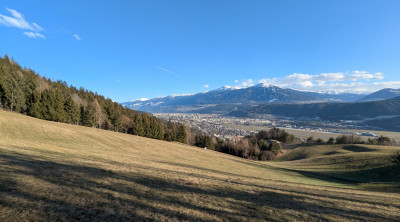 PXL_20250119_134642739.jpg