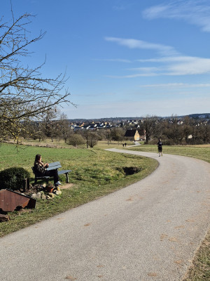 Weingässchen--12Std-2025-Abwärts.jpg