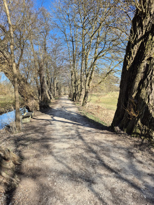 Weingässchen--12Std-2025-Am-Nadlersbach.jpg