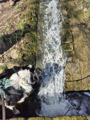 Weingässchen--12Std-2025-Wasser-Nadlersbach.jpg