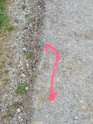 Hohenlohe-MA-04-2025.Streckenmarkierung.jpg