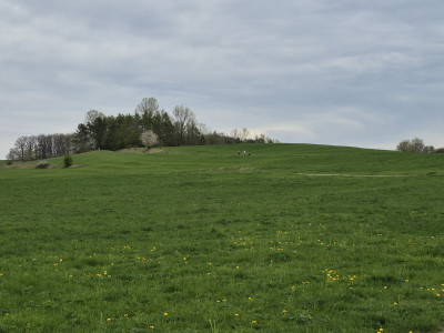 Hohenlohe-MA-04-2025.auf-die-Anhöhen.jpg