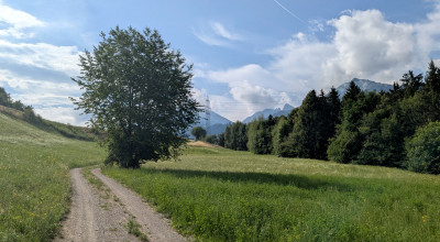 PXL_20250706_072313018.jpg