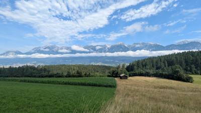 PXL_20250720_080253784.jpg