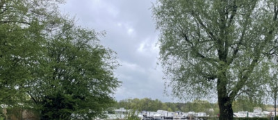 Oster-MA-2025-Regenstimmung.jpg