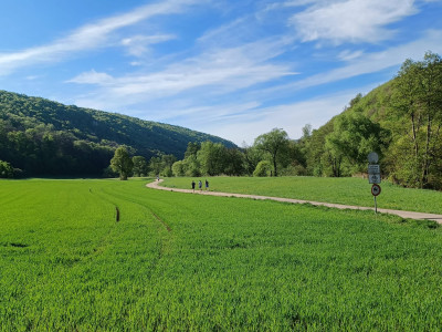 15-Naabtal-MA-2025-04-Erster-KM.jpg