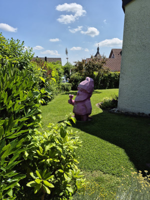 39-Hohenlohe-MA-2025-06-Rosa-Gartenzwerg-BUGA.jpg