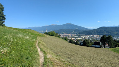 PXL_20250808_142553860.jpg