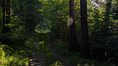 PXL_20250810_062908158.jpg