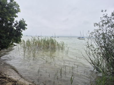 Ammersee-Ultra-2025-Uferlandschaft.jpg