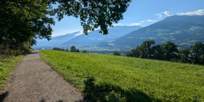 20250824_0915.jpg
