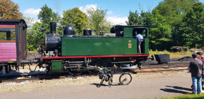D6.jpg