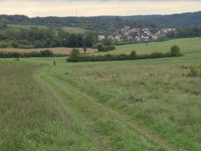 Heppl-Backyard-Ultra-2025-KM5-runter-nach-Kallmünz.jpg