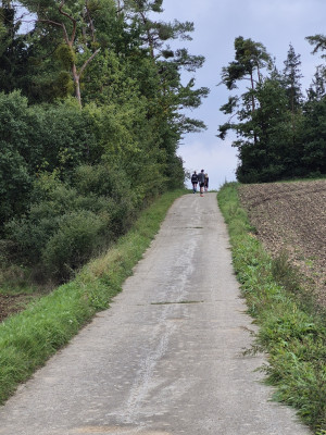 Heppl-Backyard-Ultra-2025-größte-Steigung-bald-oben.jpg