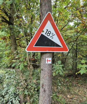 Diespecker-Laufspecktakel-2025-Steigung-pur.jpg