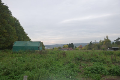 P1100022a.jpg