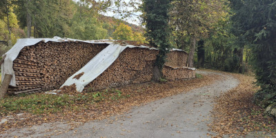 16.Naabtal-MA-Duggendorf-Wende-in-Ebenwies.jpg