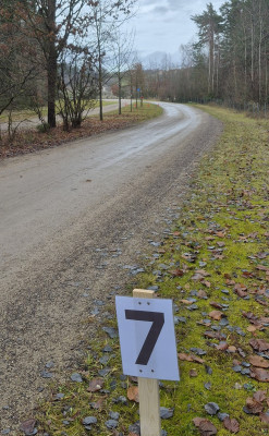 X-Mas-MA-2025-KM7-und-Wende-im-Wald.jpg