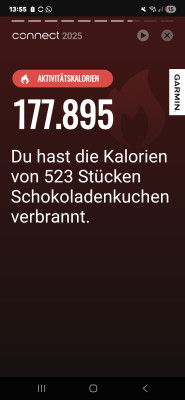 Screenshot_20251231_135517_Garmin Connect.jpg